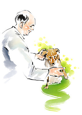 PSD 한마리 남자 일러스트 캘리그라피 붓터치 한명 사람 상반신 성인 진료 강아지 동물병원 수의사 반려 국내일러스트 1 의학 병원 반려동물 의사 개 파일형식