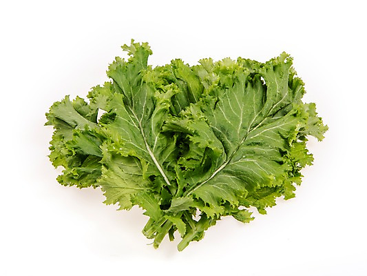 포토 JPG 스튜디오촬영 잎 채소 식재료 실내 누끼 사람없음 농작물 여러개 신선 쌈채소 청겨자 국내포토 식물 다수 농업 내부 파일형식