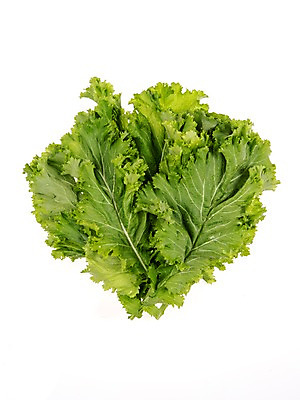 포토 JPG 스튜디오촬영 잎 채소 식재료 실내 누끼 사람없음 농작물 여러개 신선 쌈채소 청겨자 국내포토 식물 다수 농업 내부 파일형식