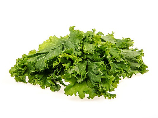 포토 JPG 스튜디오촬영 잎 채소 식재료 실내 누끼 사람없음 농작물 여러개 신선 쌈채소 청겨자 국내포토 식물 다수 농업 내부 파일형식