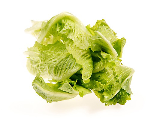 포토 JPG 스튜디오촬영 잎 채소 식재료 실내 누끼 사람없음 농작물 여러개 신선 쌈채소 포기로메인 국내포토 식물 다수 농업 내부 로메인상추 파일형식