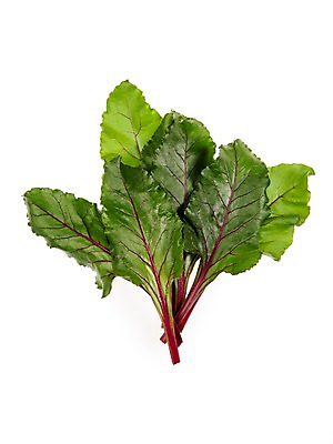 포토 JPG 스튜디오촬영 잎 채소 식재료 실내 누끼 사람없음 농작물 여러개 신선 비트 쌈채소 국내포토 식물 다수 농업 내부 파일형식