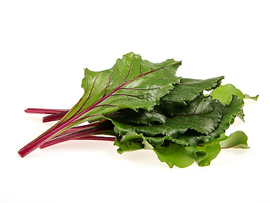 포토 JPG 스튜디오촬영 잎 채소 식재료 실내 누끼 사람없음 농작물 여러개 신선 비트 쌈채소 국내포토 식물 다수 농업 내부 파일형식