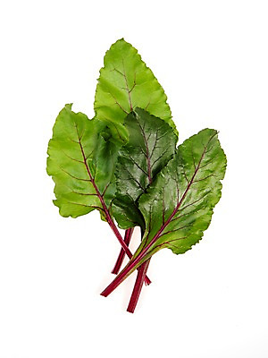 포토 JPG 스튜디오촬영 잎 채소 식재료 실내 누끼 사람없음 농작물 여러개 신선 비트 쌈채소 국내포토 식물 다수 농업 내부 파일형식