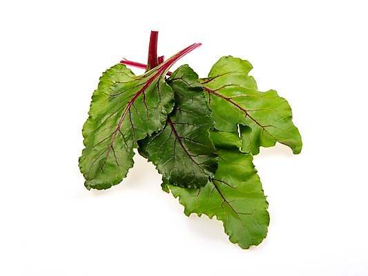 포토 JPG 스튜디오촬영 잎 채소 식재료 실내 누끼 사람없음 농작물 여러개 신선 비트 쌈채소 국내포토 식물 다수 농업 내부 파일형식