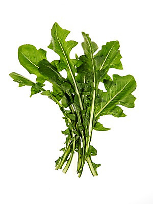 포토 JPG 스튜디오촬영 잎 채소 식재료 실내 누끼 사람없음 농작물 여러개 신선 쌈채소 적치커리 국내포토 식물 다수 농업 내부 치커리 파일형식