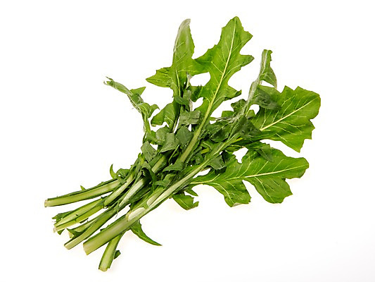 포토 JPG 스튜디오촬영 잎 채소 식재료 실내 누끼 사람없음 농작물 여러개 신선 쌈채소 적치커리 국내포토 식물 다수 농업 내부 치커리 파일형식