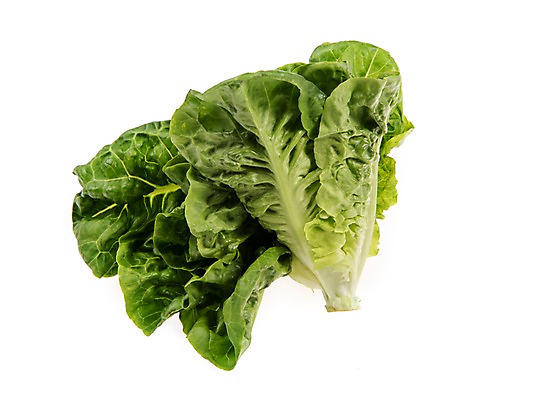 포토 JPG 스튜디오촬영 잎 채소 식재료 실내 누끼 사람없음 농작물 여러개 신선 쌈채소 미니코스 국내포토 식물 다수 농업 내부 파일형식