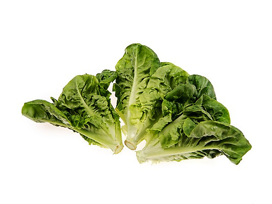 포토 JPG 스튜디오촬영 잎 채소 식재료 실내 누끼 사람없음 농작물 여러개 신선 쌈채소 미니코스 국내포토 식물 다수 농업 내부 파일형식