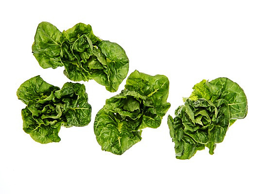 포토 JPG 스튜디오촬영 잎 채소 식재료 실내 누끼 사람없음 농작물 여러개 신선 쌈채소 미니코스 국내포토 식물 다수 농업 내부 파일형식