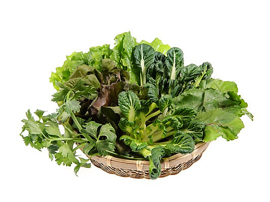 포토 JPG 스튜디오촬영 잎 채소 식재료 실내 누끼 사람없음 농작물 소쿠리 여러개 다양 신선 상추 샐러리 다채 상추쌈 쌈채소 로메인상추 국내포토 식물 다수 농업 내부 바구니 쌈 파일형식