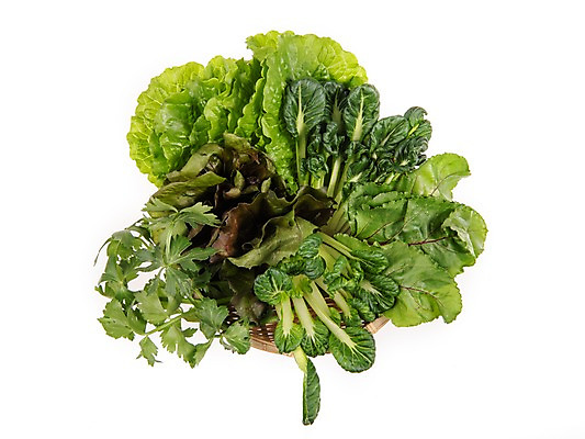 포토 JPG 스튜디오촬영 잎 채소 식재료 실내 누끼 사람없음 농작물 소쿠리 여러개 다양 신선 상추 샐러리 다채 상추쌈 쌈채소 로메인상추 국내포토 식물 다수 농업 내부 바구니 쌈 파일형식