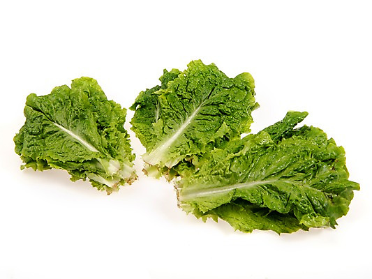 포토 JPG 스튜디오촬영 잎 채소 식재료 실내 누끼 사람없음 농작물 여러개 신선 상추 상추쌈 쌈채소 로메인상추 국내포토 식물 다수 농업 내부 쌈 파일형식