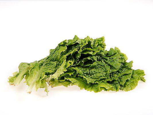 포토 JPG 스튜디오촬영 잎 채소 식재료 실내 누끼 사람없음 농작물 여러개 신선 상추 상추쌈 쌈채소 로메인상추 국내포토 식물 다수 농업 내부 쌈 파일형식