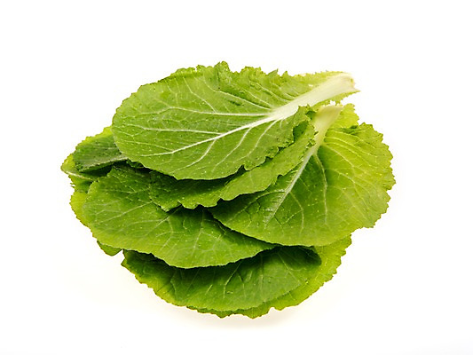 포토 JPG 스튜디오촬영 잎 채소 식재료 실내 누끼 사람없음 농작물 여러개 신선 쌈채소 쌈배추 국내포토 식물 다수 농업 내부 배추 파일형식