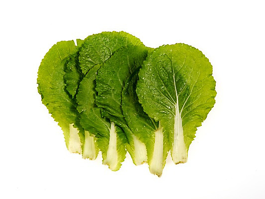 포토 JPG 스튜디오촬영 잎 채소 식재료 실내 누끼 사람없음 농작물 여러개 신선 쌈채소 쌈배추 국내포토 식물 다수 농업 내부 배추 파일형식