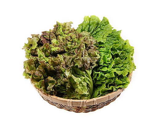 포토 JPG 스튜디오촬영 잎 채소 식재료 실내 누끼 사람없음 농작물 소쿠리 여러개 신선 상추 상추쌈 쌈채소 국내포토 식물 다수 농업 내부 바구니 쌈 파일형식