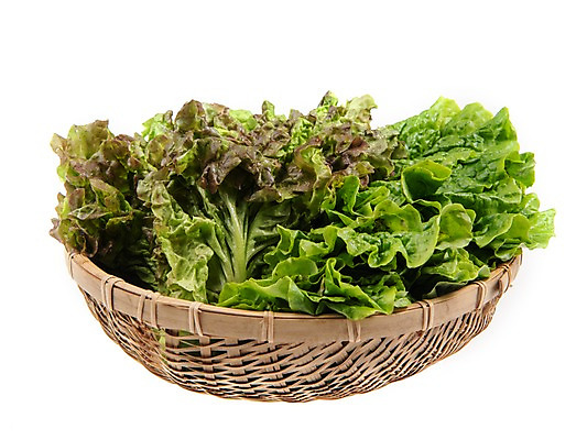 포토 JPG 스튜디오촬영 잎 채소 식재료 실내 누끼 사람없음 농작물 소쿠리 여러개 신선 상추 상추쌈 쌈채소 국내포토 식물 다수 농업 내부 바구니 쌈 파일형식