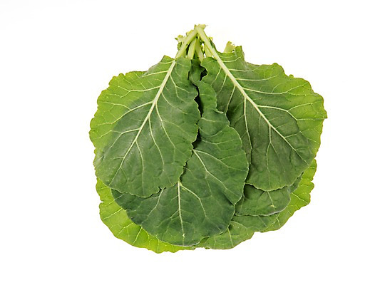 포토 JPG 스튜디오촬영 잎 채소 식재료 실내 누끼 사람없음 농작물 여러개 신선 쌈채소 케일 국내포토 식물 다수 농업 내부 파일형식