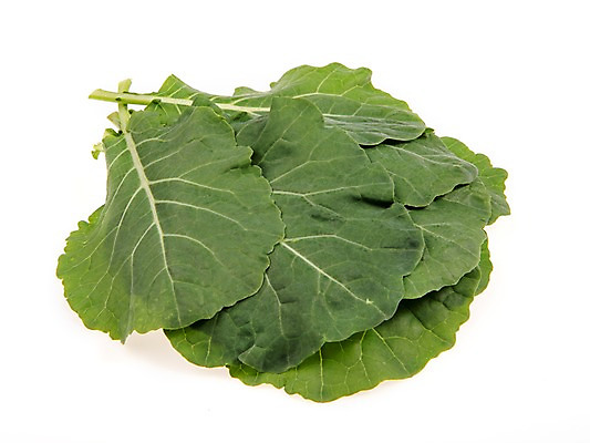 포토 JPG 스튜디오촬영 잎 채소 식재료 실내 누끼 사람없음 농작물 여러개 신선 쌈채소 케일 국내포토 식물 다수 농업 내부 파일형식