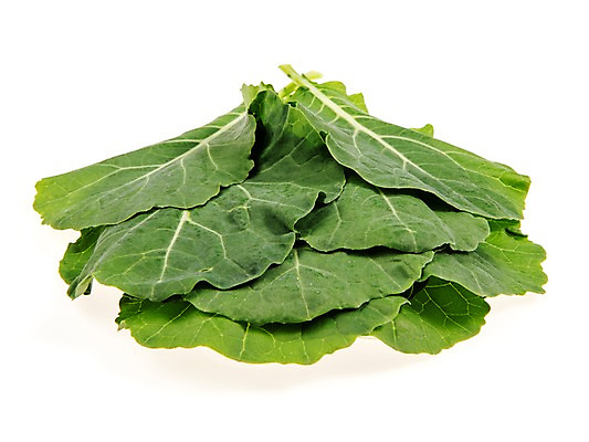 포토 JPG 스튜디오촬영 잎 채소 식재료 실내 누끼 사람없음 농작물 여러개 신선 쌈채소 케일 국내포토 식물 다수 농업 내부 파일형식