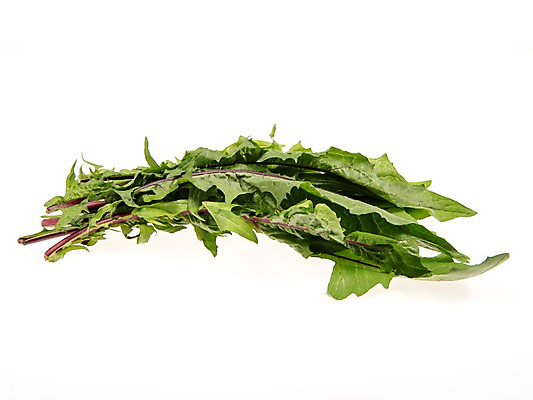 포토 JPG 스튜디오촬영 잎 채소 식재료 실내 누끼 사람없음 농작물 신선 쌈채소 적치커리 국내포토 식물 농업 내부 치커리 파일형식