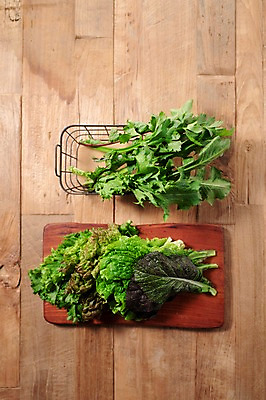 포토 JPG 스튜디오촬영 잎 채소 식재료 실내 사람없음 농작물 여러개 신선 상추 상추쌈 쌈채소 적겨자잎 적치커리 나무배경 국내포토 식물 다수 백그라운드 농업 내부 쌈 치커리 파일형식