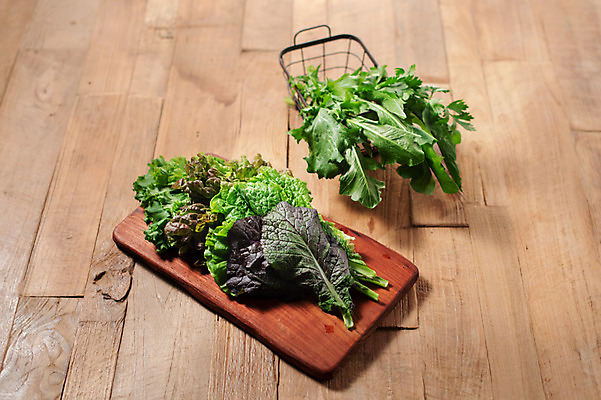 포토 JPG 스튜디오촬영 잎 채소 식재료 실내 사람없음 농작물 여러개 신선 상추 상추쌈 쌈채소 적겨자잎 적치커리 나무배경 국내포토 식물 다수 백그라운드 농업 내부 쌈 치커리 파일형식