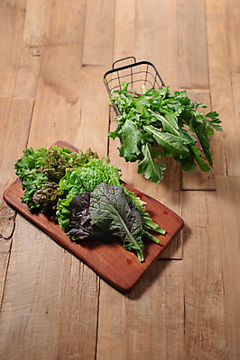 포토 JPG 스튜디오촬영 잎 채소 식재료 실내 사람없음 농작물 여러개 신선 상추 상추쌈 쌈채소 적겨자잎 적치커리 나무배경 국내포토 식물 다수 백그라운드 농업 내부 쌈 치커리 파일형식