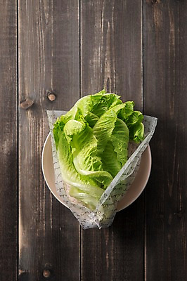 포토 JPG 스튜디오촬영 잎 채소 식재료 실내 사람없음 농작물 여러개 신선 상추 상추쌈 쌈채소 포기로메인 나무배경 국내포토 식물 다수 백그라운드 농업 내부 쌈 로메인상추 파일형식