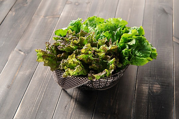 포토 JPG 스튜디오촬영 잎 채소 식재료 실내 사람없음 농작물 여러개 신선 상추 상추쌈 쌈채소 나무배경 국내포토 식물 다수 백그라운드 농업 내부 쌈 파일형식