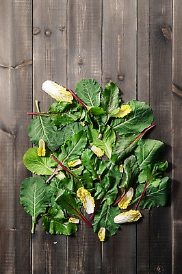 포토 JPG 스튜디오촬영 잎 채소 식재료 실내 사람없음 농작물 여러개 신선 비트 쌈채소 케일 쌈배추 나무배경 국내포토 식물 다수 백그라운드 농업 내부 배추 파일형식