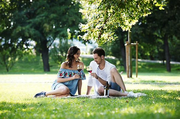 포토 JPG 주간 전신 서양인 나무 커플 응시 공원 여자 남자 와인잔 데이트 사랑 미소 사람 앉기 잔디 초원 20대 성인 야외 두명 앞모습 와인 다정 담요 와인병 프라하 성인만 국내포토 자연요소 외국인 식물 시선 공공시설 감정 뷰포인트 컨셉 술잔 관계 모션 병_용기 주류 표정 청년 체코 파일형식