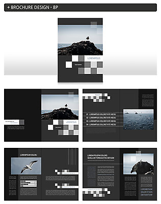 템플릿 ZIP 바다 섬 여러마리 갈매기 팜플렛 사람없음 바위 비행 울릉도 인디자인 INDD 이미지템플릿 다수 조류 돌_바위 경상북도 파일형식