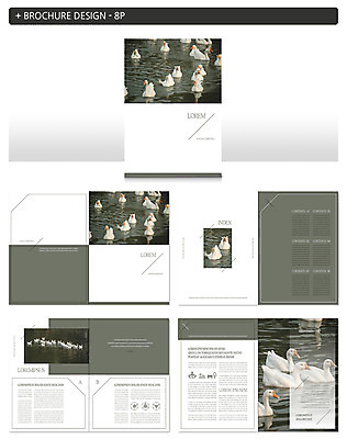 템플릿 ZIP 여러마리 오리 팜플렛 사람없음 강 수영 인디자인 INDD 이미지템플릿 다수 조류 수상스포츠 파일형식