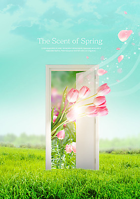 PSD 구름 편집이미지 꽃잎 자연 하늘 바람 풍경 초원 사람없음 문 봄풍경 봄 튤립 이미지편집 자연요소 계절 꽃 날씨 생태계 파일형식