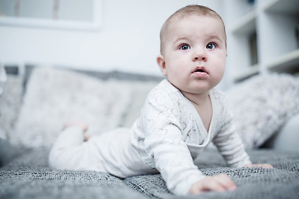 포토 JPG 전신 서양인 응시 남자 엎드리기 거실 한명 사람 옆모습 아웃포커스 소파 아기 남자아기한명만 국내포토 외국인 1 시선 뷰포인트 의자 모션 촬영기법 남자한명만 남자아기만 파일형식