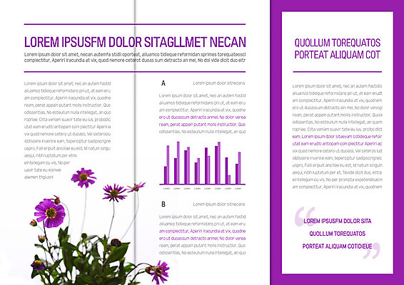 템플릿 북디자인 출판디자인 내지 리플렛 북커버 3단접지 팜플렛 사람없음 들꽃 막대그래프 이미지템플릿 AI파일 꽃 그래프 파일형식 벡터