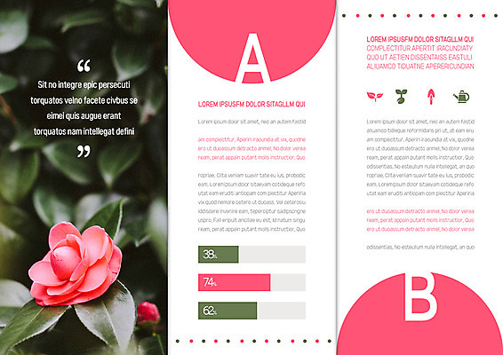 템플릿 북디자인 출판디자인 내지 리플렛 북커버 3단접지 나뭇잎 팜플렛 사람없음 새싹 물뿌리개 모종삽 막대그래프 동백 이미지템플릿 AI파일 식물 꽃 잎 그래프 삽 파일형식 벡터