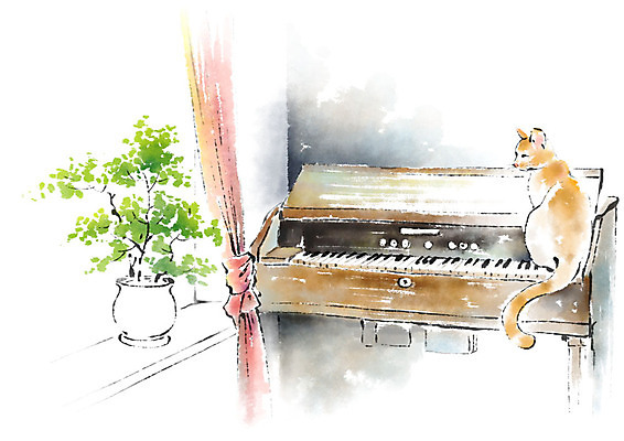 PSD 동물 한마리 화분 악기 일러스트 캘리그라피 붓터치 사람없음 고양이 커튼 건반 피아노 창가 번짐 반려 국내일러스트 1 음악 창문 포유류 반려동물 건반악기 파일형식 효과