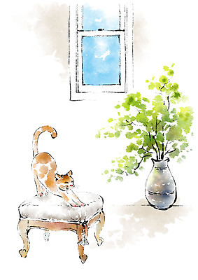 PSD 동물 한마리 일러스트 캘리그라피 붓터치 사람없음 꽃병 고양이 창가 번짐 반려 스툴 국내일러스트 1 꽃 의자 창문 포유류 반려동물 파일형식 효과