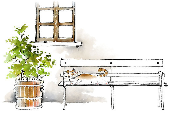 PSD 동물 한마리 화분 벤치 일러스트 캘리그라피 붓터치 사람없음 고양이 창가 번짐 반려 국내일러스트 1 의자 창문 포유류 반려동물 파일형식 효과