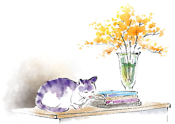 PSD 동물 한마리 일러스트 캘리그라피 붓터치 사람없음 꽃병 고양이 책상 번짐 반려 책더미 국내일러스트 1 꽃 가구 포유류 책 반려동물 무더기 파일형식 효과