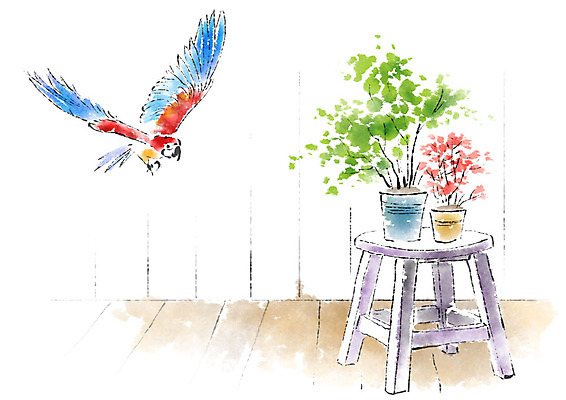 PSD 동물 한마리 화분 의자 일러스트 캘리그라피 붓터치 사람없음 두개 앵무새 번짐 국내일러스트 1 가구 2 조류 파일형식 효과