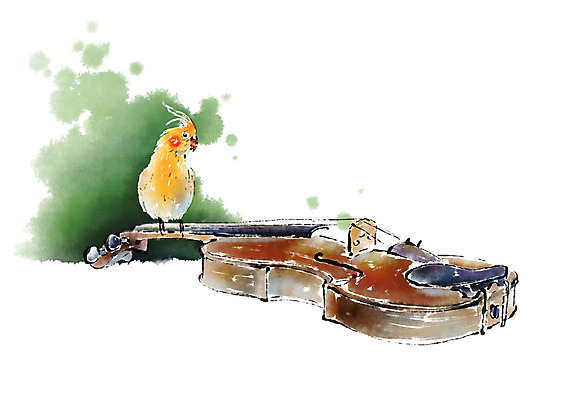 PSD 동물 한마리 일러스트 캘리그라피 붓터치 앉기 사람없음 바이올린 앵무새 번짐 국내일러스트 1 모션 조류 현악기 파일형식 효과