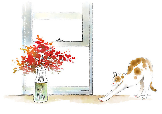 PSD 동물 한마리 일러스트 캘리그라피 붓터치 사람없음 꽃병 고양이 창가 번짐 반려 국내일러스트 1 꽃 창문 포유류 반려동물 파일형식 효과