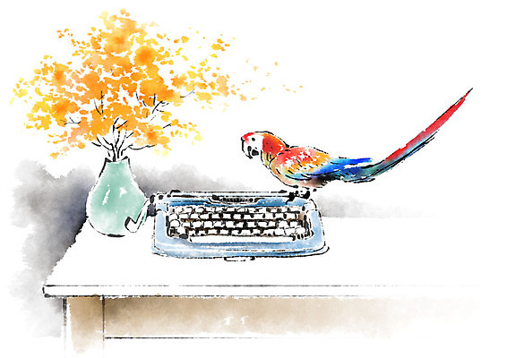 PSD 동물 한마리 일러스트 캘리그라피 붓터치 사람없음 꽃병 책상 앵무새 번짐 타자기 국내일러스트 1 꽃 가구 조류 골동품 파일형식 효과