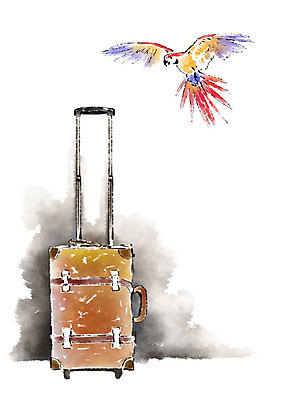 PSD 동물 한마리 일러스트 캘리그라피 붓터치 사람없음 캐리어 앵무새 번짐 국내일러스트 1 조류 여행가방 파일형식 효과