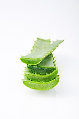 포토 JPG 스튜디오촬영 실내 근접촬영 사람없음 자르기 알로에 디톡스 국내포토 식물 뷰포인트 모션 건강 내부 파일형식