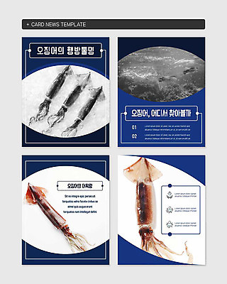 PSD 템플릿 바다 웹템플릿 여러마리 식재료 사람없음 세트 바닷속 해산물 오징어 카드뉴스 장방형 이미지템플릿 다수 연체동물 수중 수중동물 파일형식